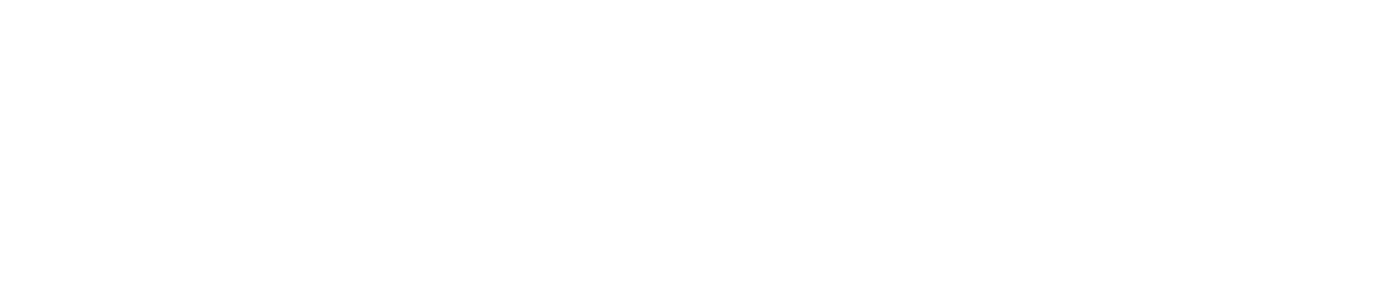 DSM Digital Systems Market